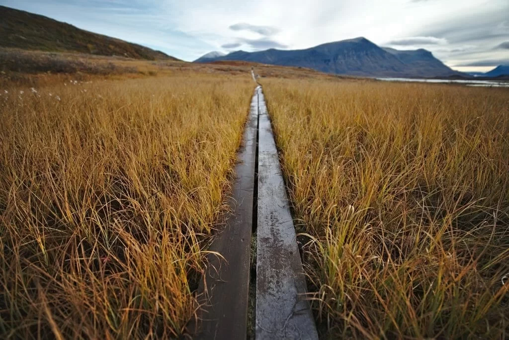 The King's Trail Hike in Sweden, One of Europe's Oldest Hiking Routes