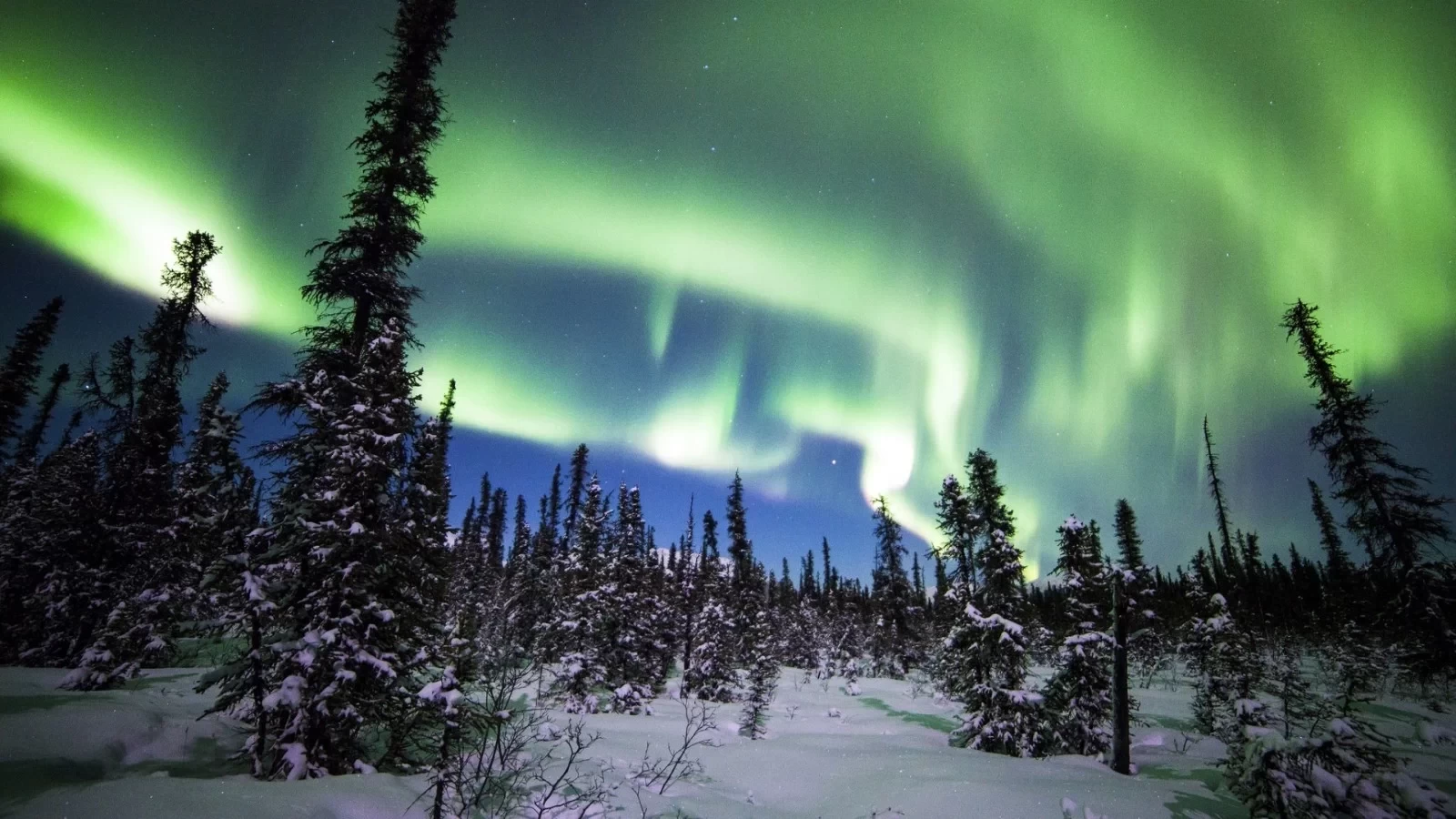 Seeing the Northern Lights isn't just about "heading north" - A Global Northern Lights Destination Review