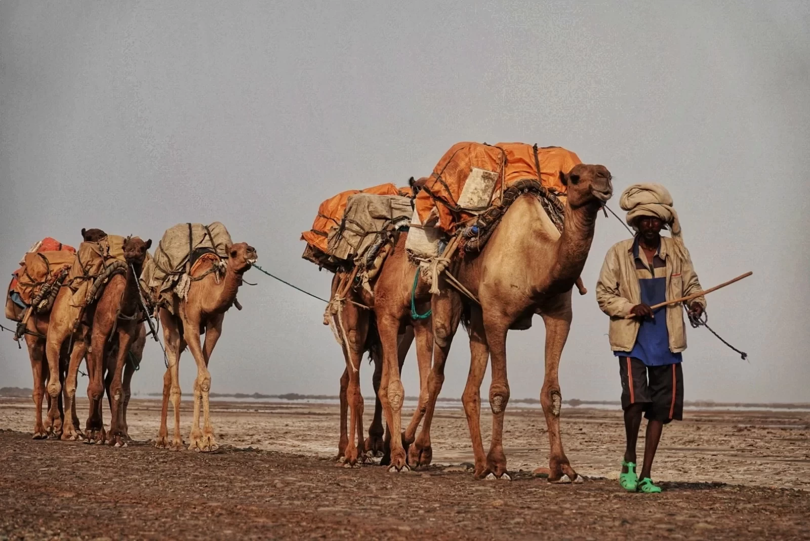 Ethiopia Trekking, Danakil Depression Crossing Hiking Guide, "Gate of Hell" Active Volcano Crossing