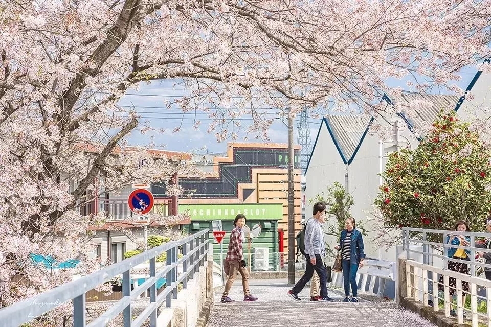 Detective Chinatown 3 Filming Locations - Japan, E-Visa Opens to Chinese in April, Perfect for a Movie & Cherry Blossom Trip