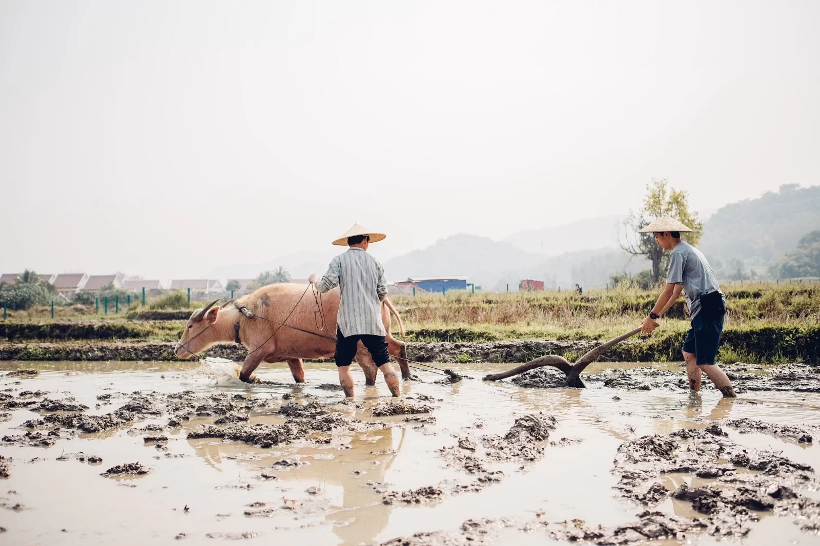 Southeast Asia's Healing Treasure Destination - Luang Prabang, Laos Luang Prabang Eat, Drink, Play, and Stay Super Comprehensive Strategy