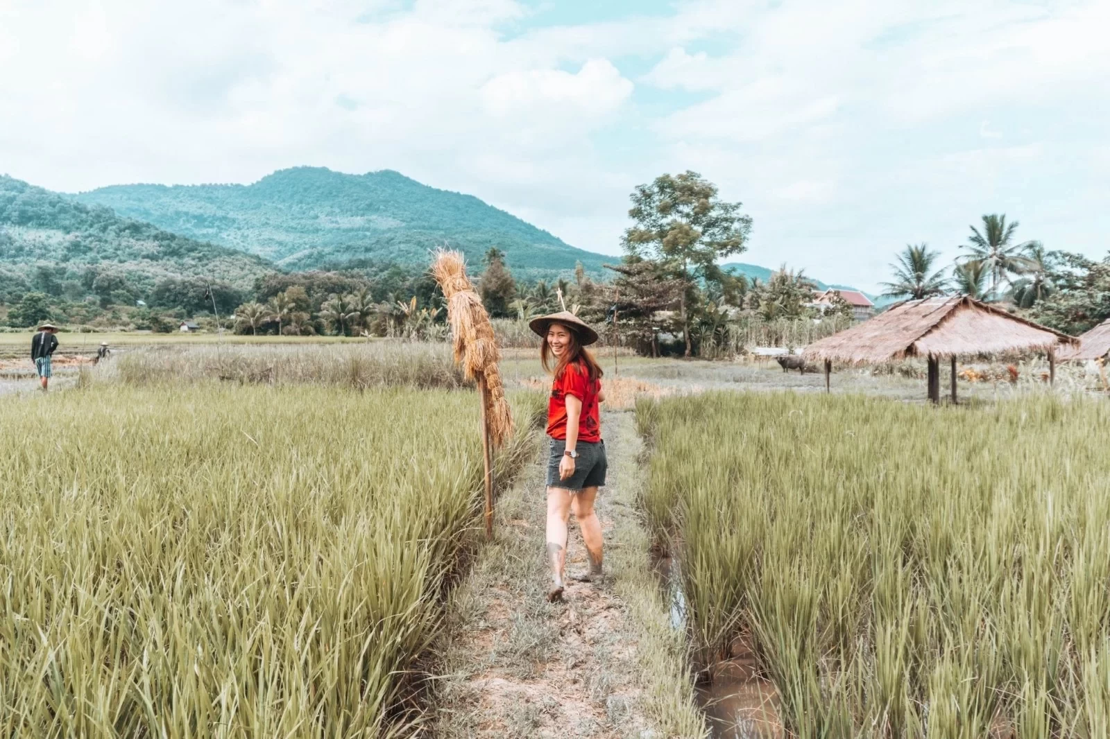 Southeast Asia's Healing Treasure Destination - Luang Prabang, Laos Luang Prabang Eat, Drink, Play, and Stay Super Comprehensive Strategy