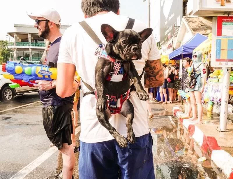 Songkran Festival in Thailand, a Carnival Celebration Without Nationality or Language (with Official Event List and Travel Guide)