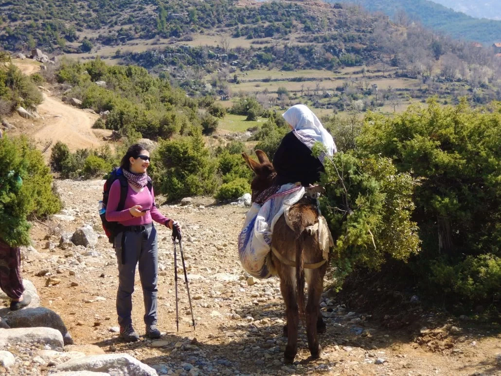 Top 10 Classic Hiking Trails in the Middle East and Africa, Explore the Stories Behind the Legendary Trails!