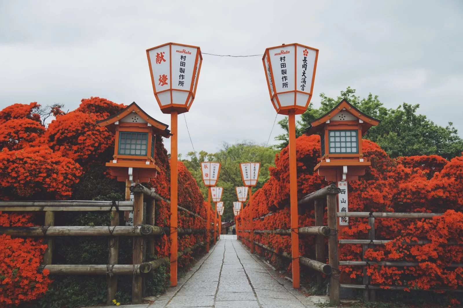 14-Day Deep Walking Tour: Exploring Kyoto & Kansai's Off-the-Beaten-Path, Including Flight & Transportation Guide