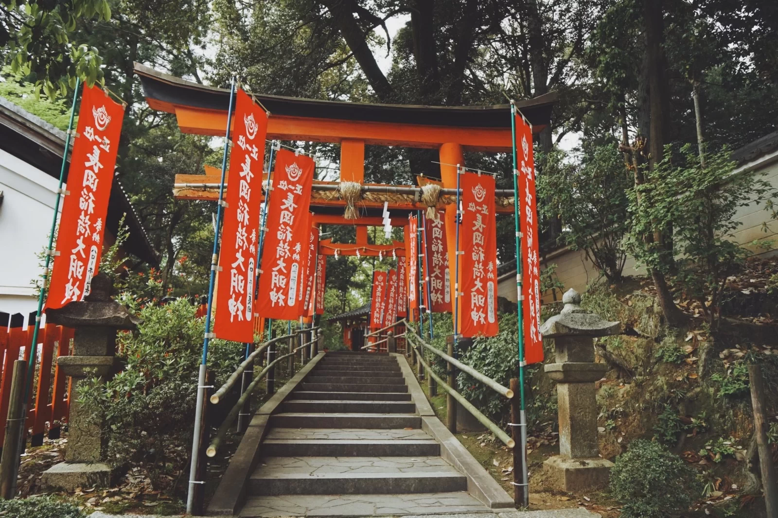 14-Day Deep Walking Tour: Exploring Kyoto & Kansai's Off-the-Beaten-Path, Including Flight & Transportation Guide