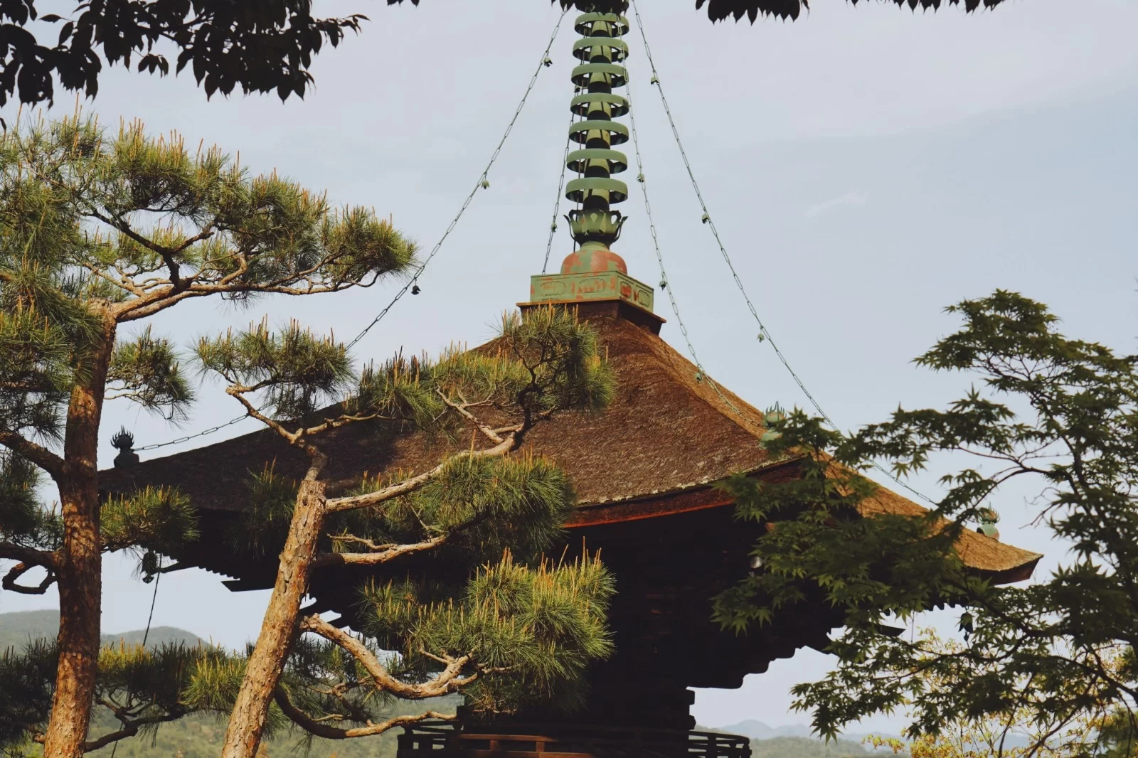 14-Day Deep Walking Tour: Exploring Kyoto & Kansai's Off-the-Beaten-Path, Including Flight & Transportation Guide