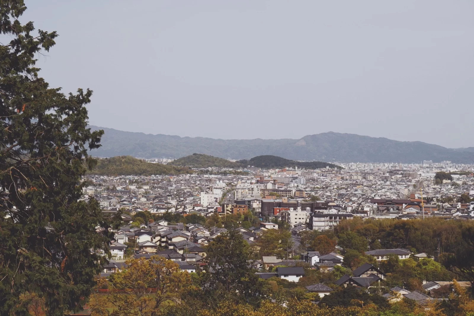 14-Day Deep Walking Tour: Exploring Kyoto & Kansai's Off-the-Beaten-Path, Including Flight & Transportation Guide