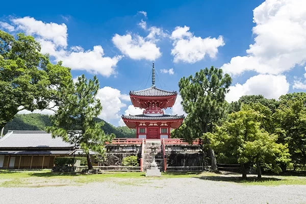 14-Day Deep Walking Tour: Exploring Kyoto & Kansai's Off-the-Beaten-Path, Including Flight & Transportation Guide