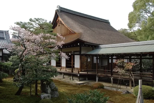 14-Day Deep Walking Tour: Exploring Kyoto & Kansai's Off-the-Beaten-Path, Including Flight & Transportation Guide