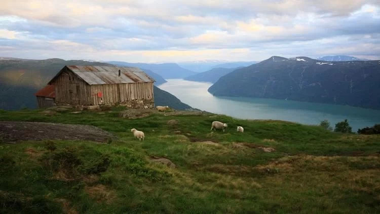 The Most Authentic Nordic Five Countries: A Guide to Explore the World's Happiest Nordic Life