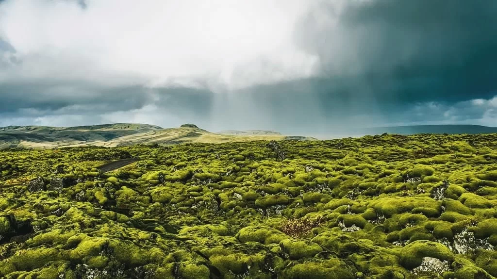 The Most Authentic Nordic Five Countries: A Guide to Explore the World's Happiest Nordic Life