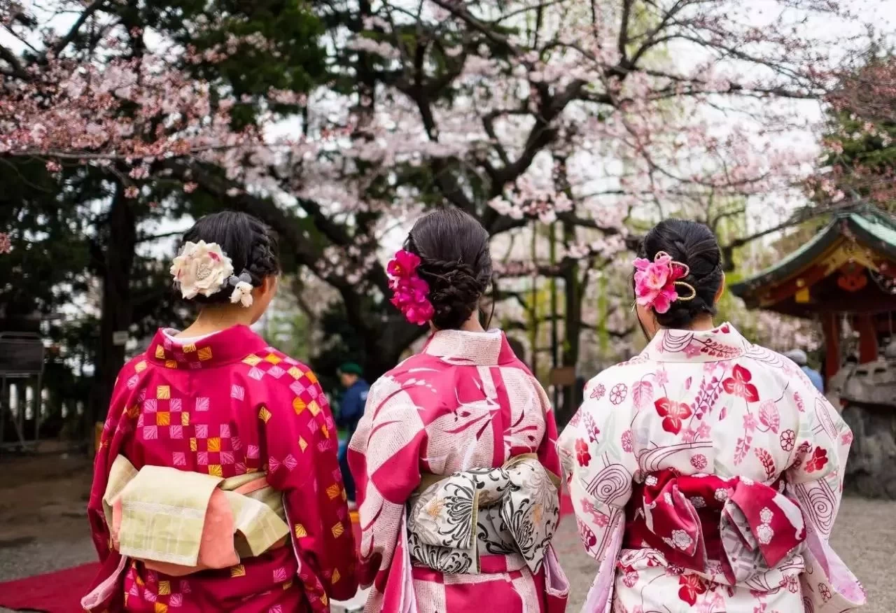 Book your tickets early for big discounts! The strongest "Sakura Guide" ever, allowing you to distinguish the different types of Japanese ...