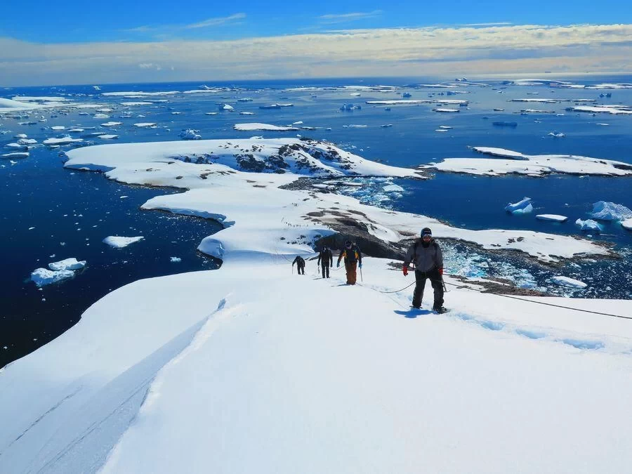 South Pole Travel Super Dry Goods - How to Choose a Cruise Route and Ship Type (with a Super Detailed Pre-Trip Strategy)