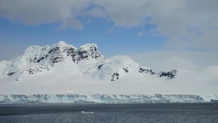 Antarctica Travel: What’s It Like to See Penguins in Antarctica?