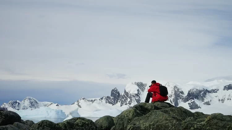 Antarctica Travel: What's It Like to See Penguins in Antarctica?