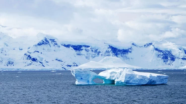 Antarctica Travel: What's It Like to See Penguins in Antarctica?