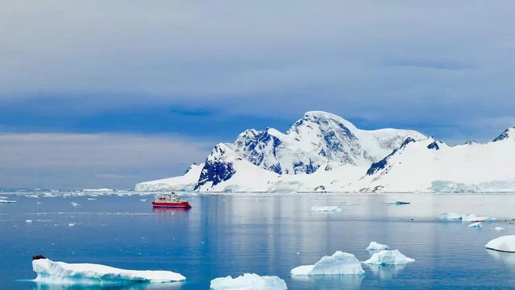 Antarctica Travel: What's It Like to See Penguins in Antarctica?