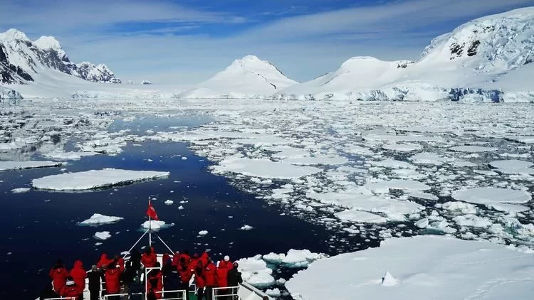 Antarctica Travel: What's It Like to See Penguins in Antarctica?