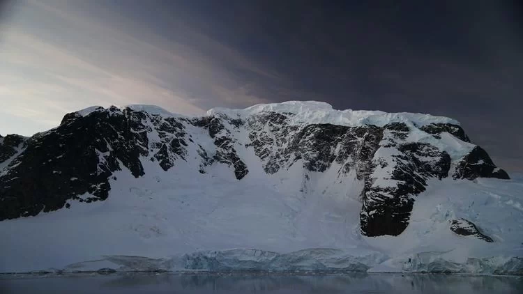 Antarctica Travel: What's It Like to See Penguins in Antarctica?