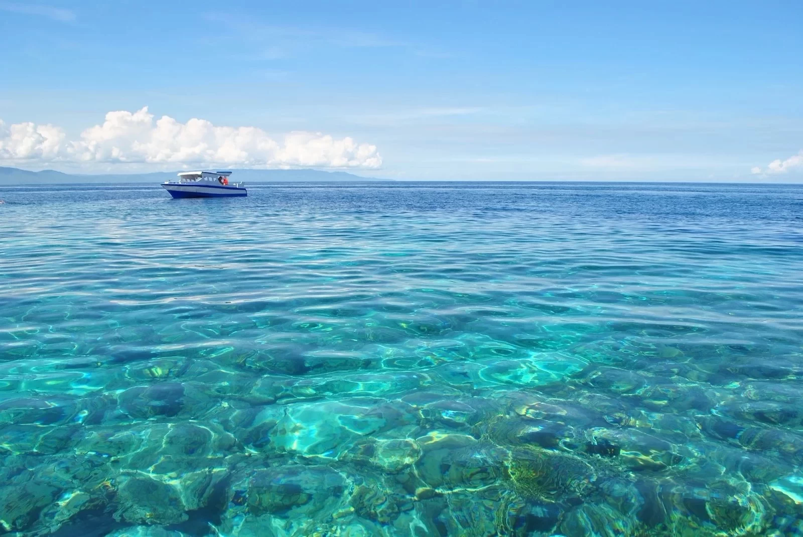 Manado, Indonesia: A World-Class Dive Destination, Featured in "The Ex-File 3", Budget-Friendly for a Monthly Salary of 4K