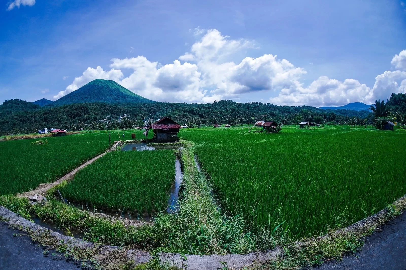 Manado, Indonesia: A World-Class Dive Destination, Featured in "The Ex-File 3", Budget-Friendly for a Monthly Salary of 4K