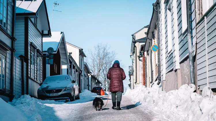 A Finnish Winter Wonderland, a Nordic Cold Fairyland!