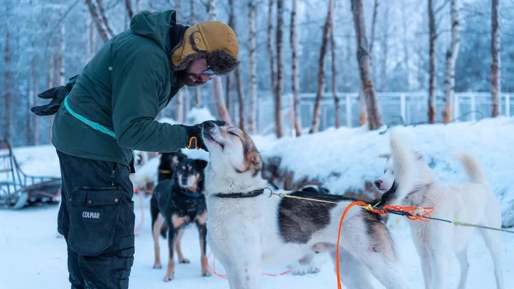 A Finnish Winter Wonderland, a Nordic Cold Fairyland!