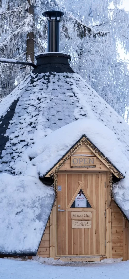 A Finnish Winter Wonderland, a Nordic Cold Fairyland!