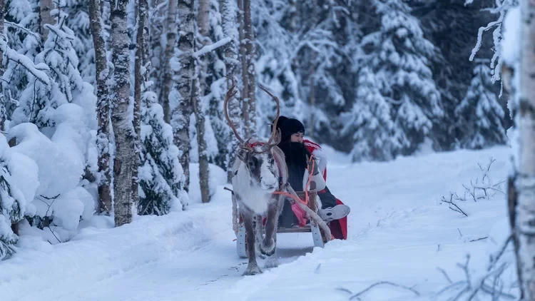 A Finnish Winter Wonderland, a Nordic Cold Fairyland!