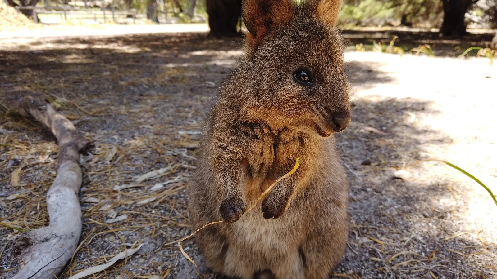 【West Australia Travel Guide】Unmissable Perfect Experiences in Western Australia