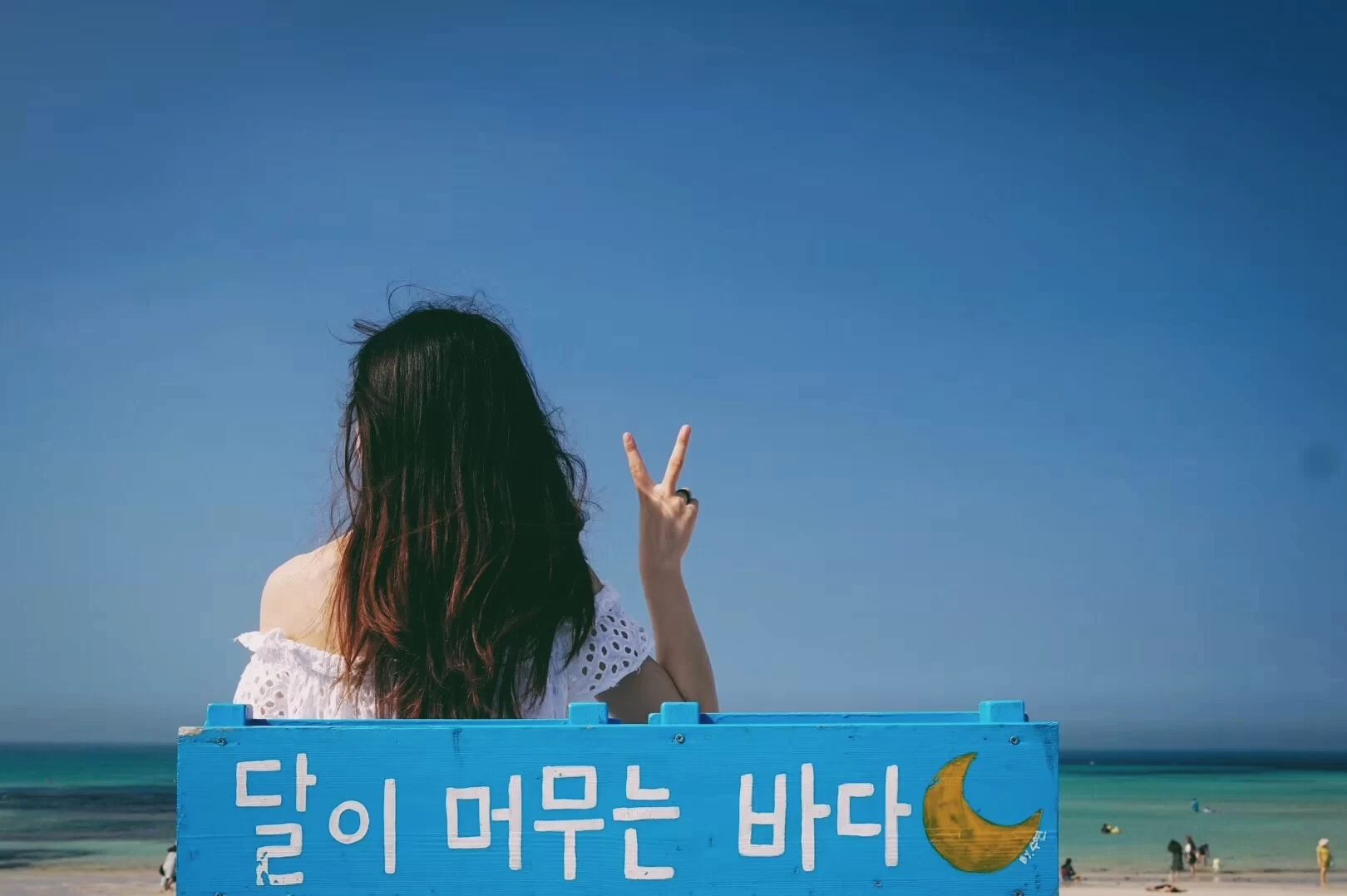 A Island Hopping Trip, The Right Way to Get Jeju Island!