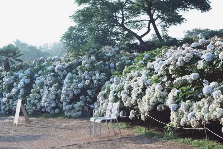 A Island Hopping Trip, The Right Way to Get Jeju Island!