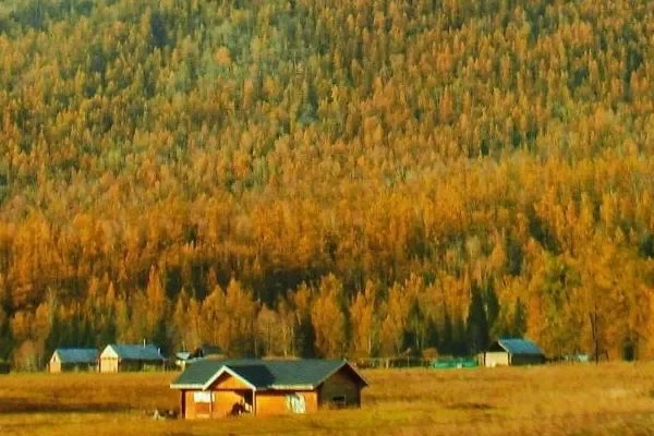 North Xinjiang Autumn Travel Guide and Recommended Attractions