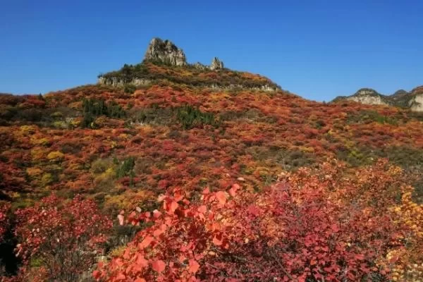 Recommended Lesser-Known Scenic Spots for Self-Driving Trips Around Beijing in Autumn