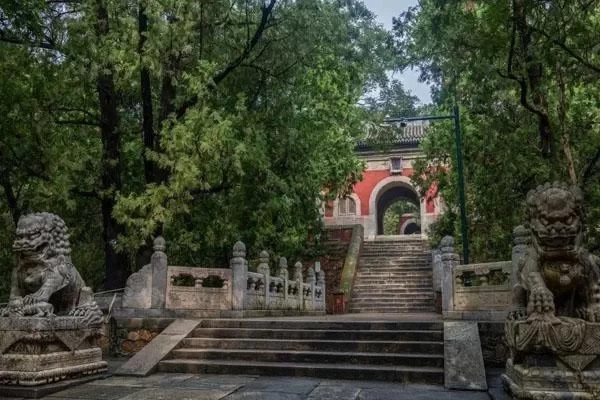 Best One-Day Tour Routes for Beijing Xiangshan Park