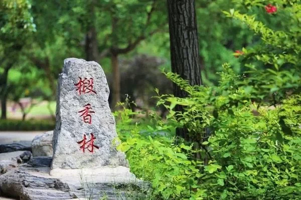 Best One-Day Tour Routes for Beijing Xiangshan Park 