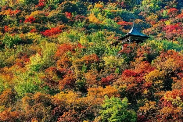 What are the most beautiful hiking trails in Beijing 