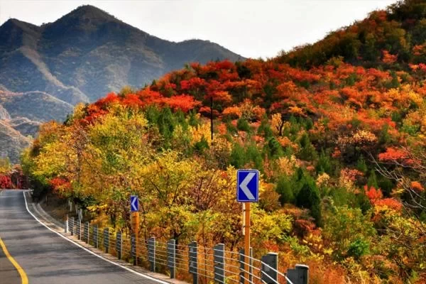 Most Beautiful Self-Driving Tour Routes in Beijing in Autumn