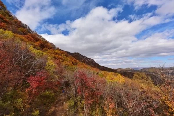 Most Beautiful Self-Driving Tour Routes in Beijing in Autumn 