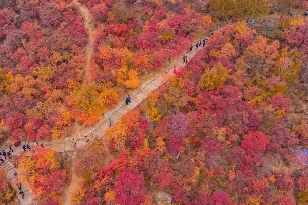 Most Beautiful Self-Driving Tour Routes in Beijing in Autumn 