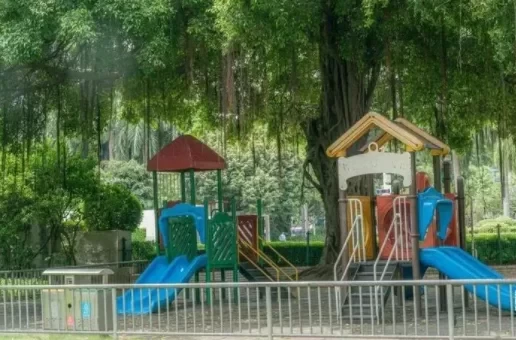 Recommended Places for Camping and Picnics in Foshan 