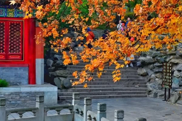 Most Beautiful Cycling Routes in Beijing in Autumn