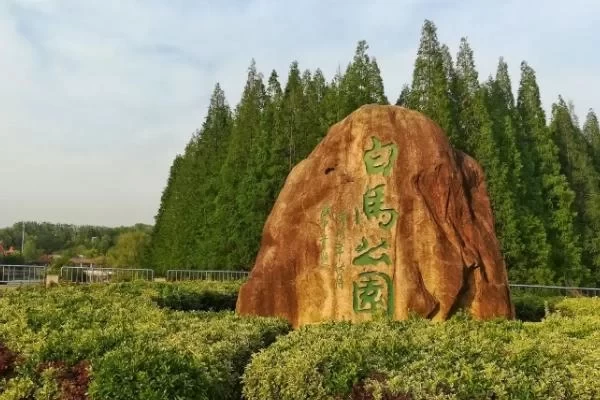 Recommended Cycling Routes in Nanjing