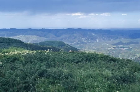 Where is the Liupan Mountain? Liupan Mountain Forest Park Tourism