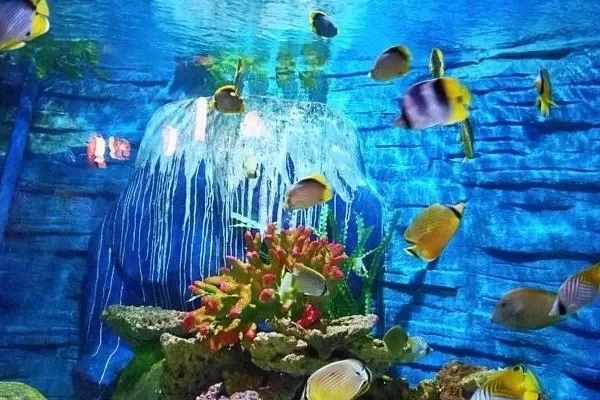 Beihai Underwater World Opening Hours and Closing Time