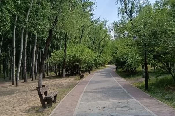 Recommended Cycling Spots in Beijing for Families with Kids 