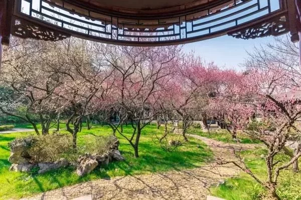 What to Play in Nanjing Gulin Park: A List of Attractions 