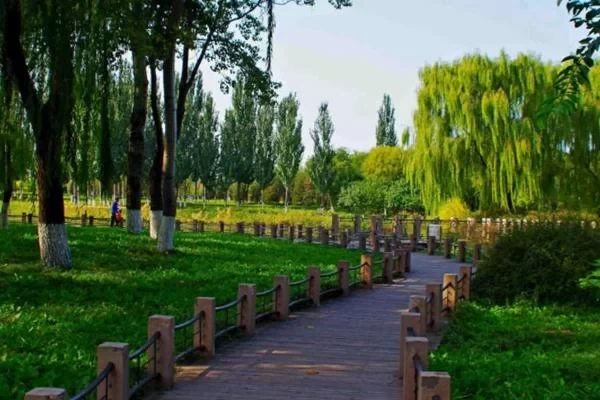 Where to Picnic and Camp in Beijing