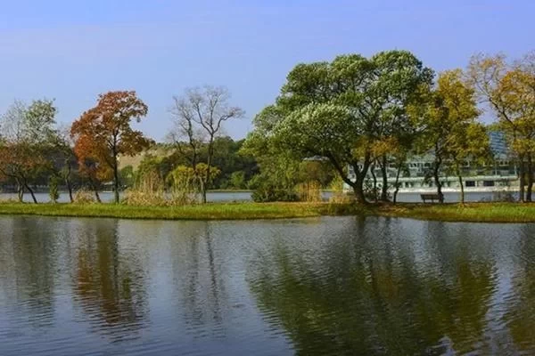 Nanjing Botanical Garden South Garden Travel Guide